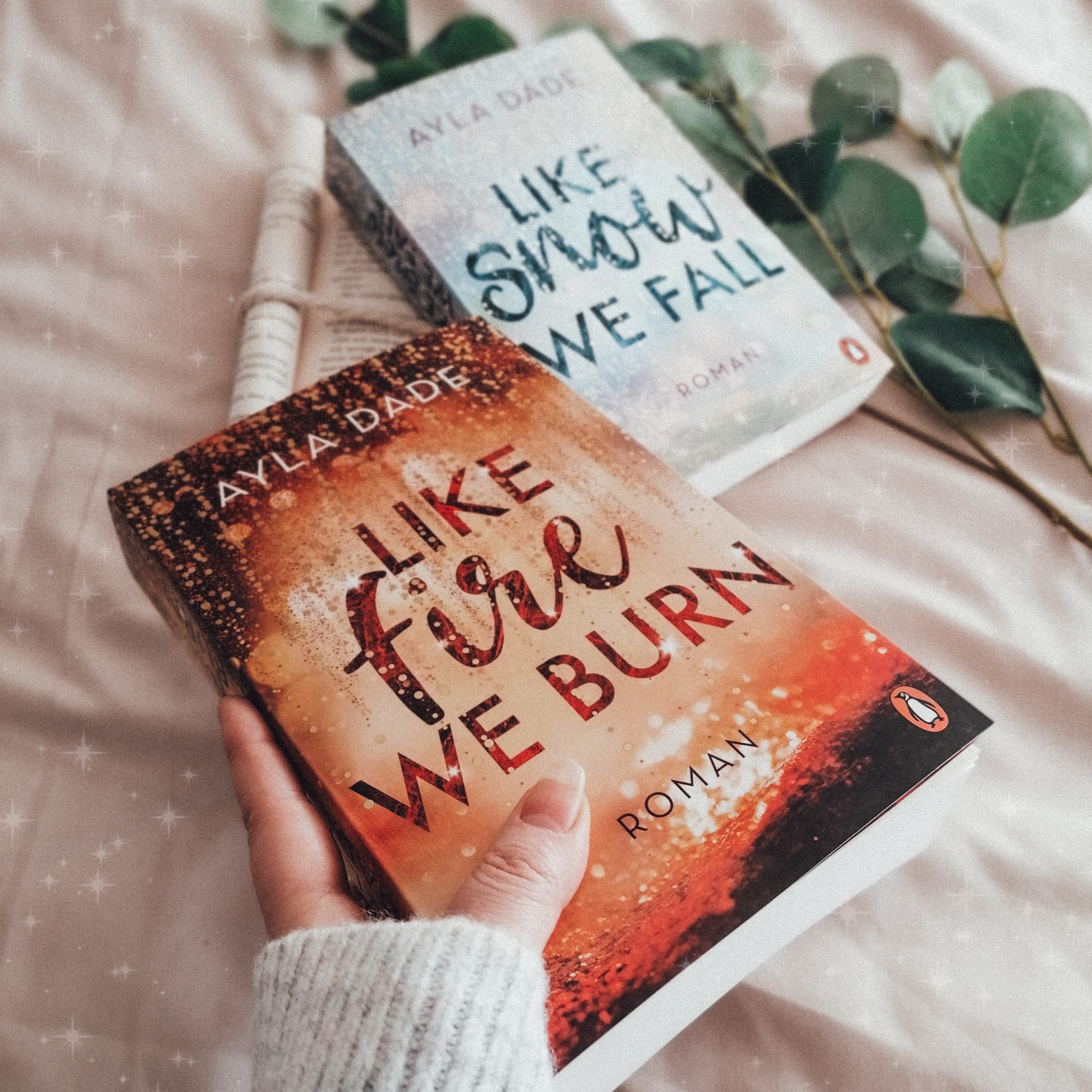 Rezension: Like Fire we Burn [Ayla Dade] – Lexi´s Little Library